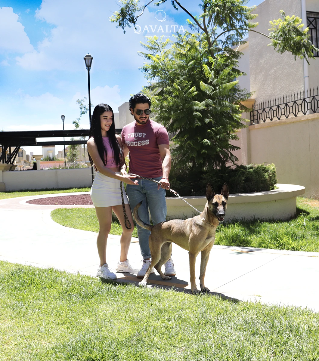 Casas residenciales en Pachuca